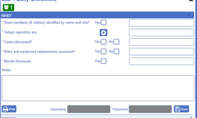 Example image of NATSSIPS safety checklists "briefing" page
