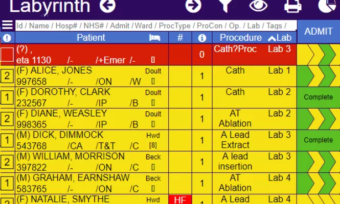 Example of Labyrinth software interface showing a monthly case list 
