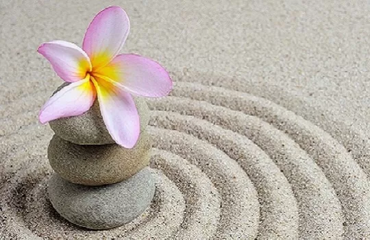 Zen flower on rippling sand